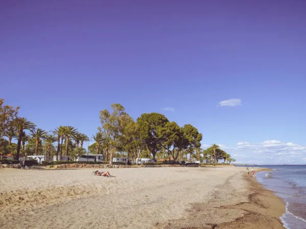 Plage de sable au camping Roan Playa Montroig.