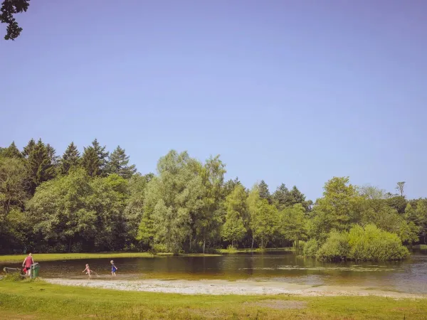Le lac du camping Roan ' t Veld.
