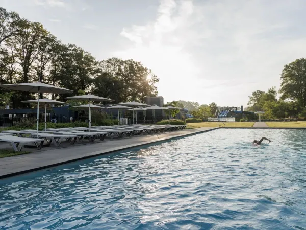 Nager dans la piscine extérieure du camping Roan De Twee Bruggen.