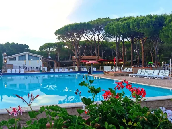 Piscine avec chaises longues au camping Roan Del Forte.